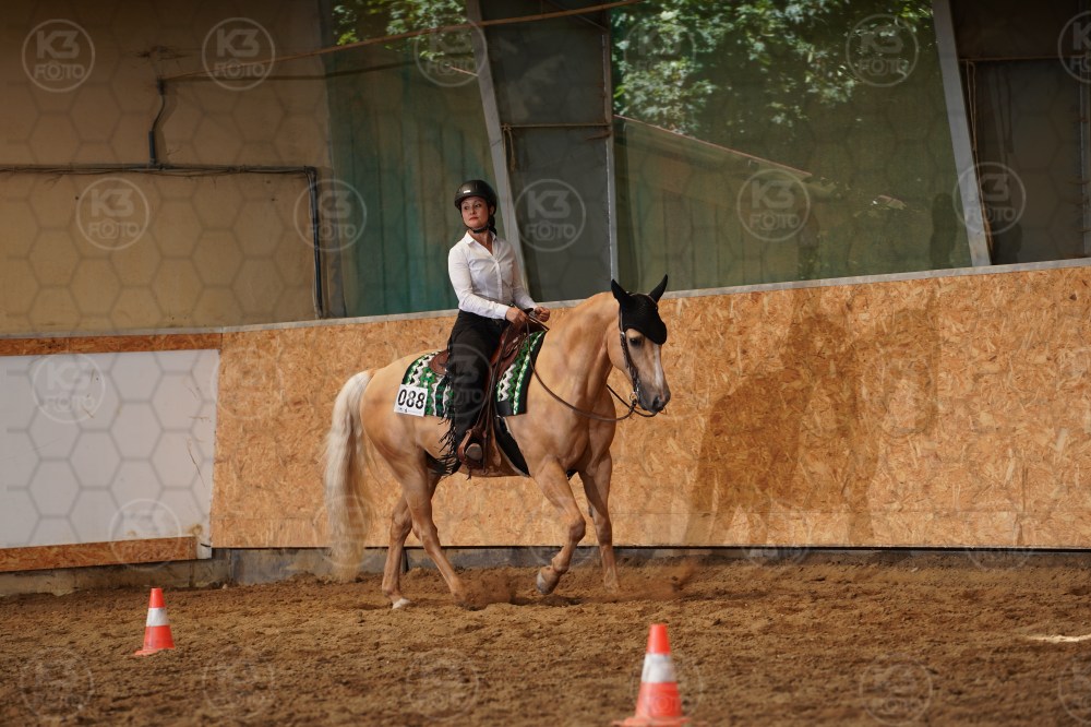 s_A9_00771.jpg